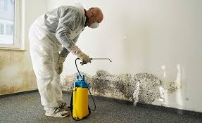 Why You Should Choose Our Mold Remediation Services in Mangum, OK