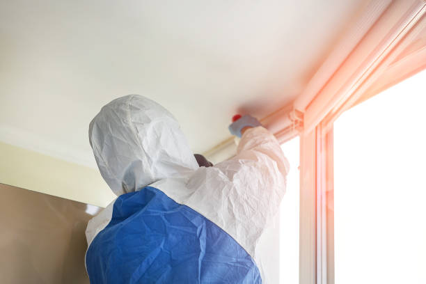 Best Emergency Mold Remediation  in Mangum, OK