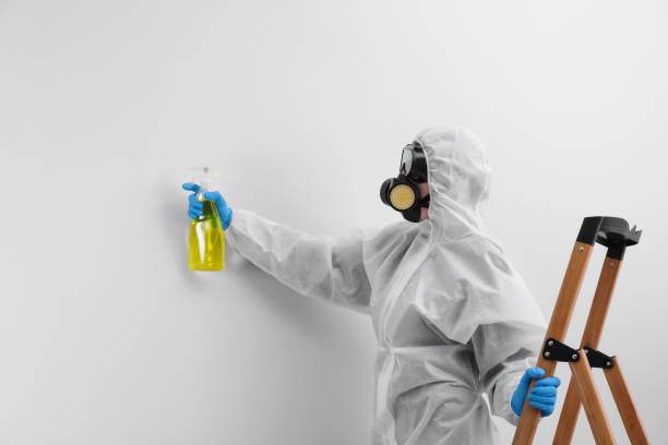 Best Forensic Mold Investigation  in Mangum, OK