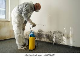 Best Biohazard Mold Removal  in Mangum, OK